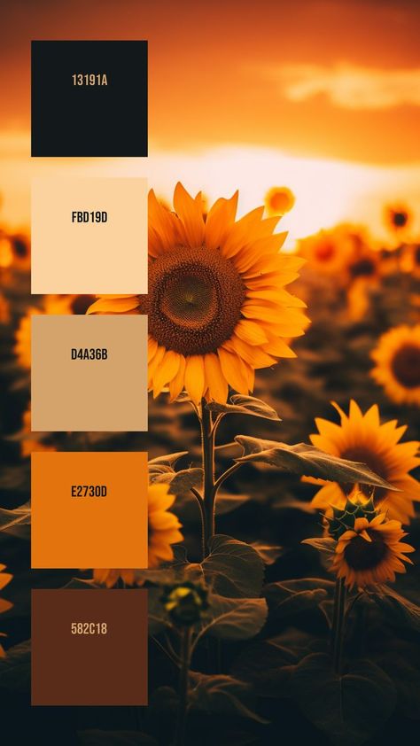 Colors: 13191A ° FBD19D ° D4A36B ° E2730D ° 582C18 A Field Of Sunflowers, Yarn Color Combinations, Field Of Sunflowers, Yellow Petals, Color Design Inspiration, Orange Color Palettes, Hex Color Palette, Color Palette Challenge, House Color Palettes