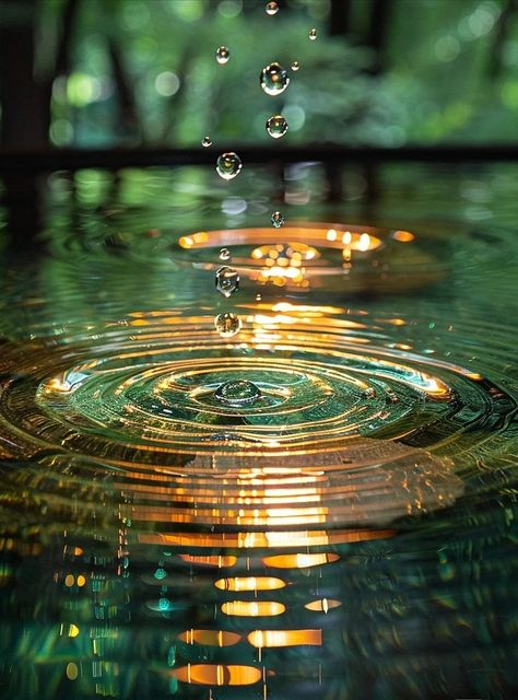 Water Reflection Photography, Pinterest Flowers, Meditation Images, Zen Wallpaper, Reflection Photography, Water Reflections, Pretty Wallpapers Backgrounds, Landscape Wallpaper, Water Drops