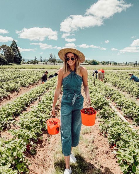 MADELINE BALDERSTON on Instagram: “strawberry picking season 🍓” Strawberry Picking Outfit Aesthetic, Strawberry Picking Photoshoot, Strawberry Field Photoshoot, Strawberry Farm Outfit, Fruit Picking Outfit, Strawberry Picking Photography, Blueberries Desserts, Strawberry Picking Pictures, Strawberry Picking Outfit