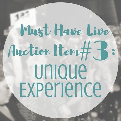 Must Have Live Auction Item #3: Unique Experience Live Auction Items, Fundraising Gala, Auction Fundraiser, Charity Auction, Charity Events, Silent Auction, Charity Event, Auction Items, Travel Book