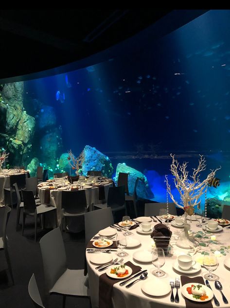 Aquarium Dinner Date, Aquarium Restaurant Design, New York Aquarium, Aquarium Prom, Luxury Aquarium, Nyc Aquarium, Big Aquarium Living Rooms, Aquatic Wedding, Aquarium Cafe