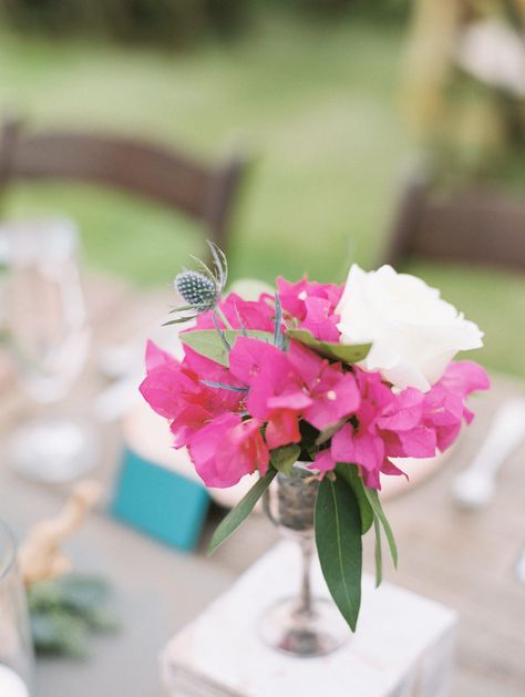 Red Rose Bouquet Wedding, Bright Wedding Bouquet, Bougainvillea Wedding, Tropical Wedding Bouquets, Modern Wedding Bouquets, Blush Bouquet Wedding, Elegant Wedding Bouquets, Colorful Wedding Bouquet, Gorgeous Wedding Bouquet