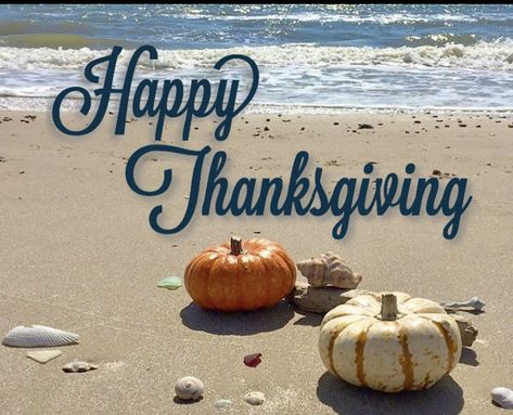 Tropical Thanksgiving, Happy Thanksgiving Pictures, Happy Thanksgiving Images, Thanksgiving Happy, Ocean Images, Happy Day Quotes, Thanksgiving Pictures, Thanksgiving Blessings, Thanksgiving Images