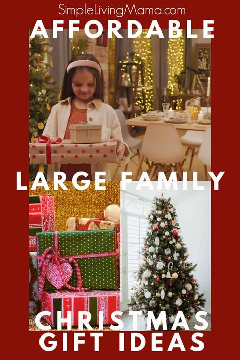 Large Family Christmas, Family Christmas Gift Ideas, Expensive Christmas Gift, Family Gift Exchange, Photo Christmas Gifts, Family Harmony, Frugal Christmas, Chirstmas Gift, Thrifted Home