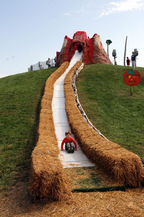 Cox Farms Volcano Slide  Do you love Fall Festivals as much as we do? From September until November there are so many wonderful festivals in the DC area. Cox Farms is a favorite!  #PackMoreIntoLife #FallFestivals #FamilyFun #October #Pumpkin Town Halloween Festival, Town Fall Festival Ideas, Festival Diy Ideas, Fall Farm Festival, Diy Pumpkin Patch For Kids, Pumpkin Patch Business Ideas, Pumpkin Festival Ideas, Agrotourism Ideas Farms, Agritourism Ideas Farms