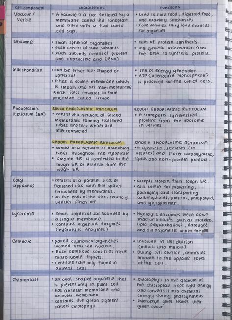 Chemical Level Of Organization Notes, Stiochemistry Notes, Bio 30 Notes, Biology Honors Notes, Cytogenetics Notes, Biology Study Guide, Bioscience Aesthetic, Living Environment Notes, Anatomy Notes Aesthetic