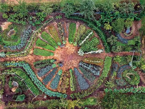 How I Use Nature's Patterns to Optimize Garden Design Biodynamic Gardening, Mandala Garden, Garden Pavillion, Kebun Herbal, Ornamental Garden, Vegetable Garden Planner, Garden Magic, Garden Layout Vegetable, Herb Garden Design