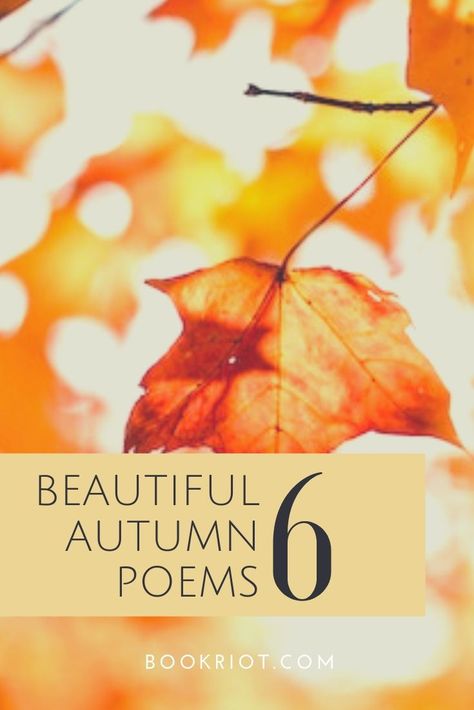 'Tis the season for beautiful autumn poetry.   poetry | poems about fall | autumn poems | poems to read Fall Poems Beautiful, Poems About Fall, November Poems, Harvest Poems, October Poem, Fall Poetry, Fall Poems, Poetry Teatime, Seasonal Quotes