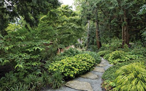 Woodland Slope Garden, Deer Friendly Landscaping, Woodland Landscape Design, Woodland Gardens Backyard, Dry Shade Garden Ideas, Woodland Edge Garden, Deer Resistant Shade Garden, Deer Resistant Garden Design, Wooded Gardens