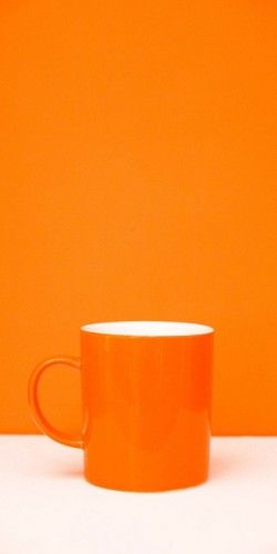 ORANGE!!!!!!!!!!!!!!!!!!!!!!!!!!!!!!!!!!!!!!!!!!!!!!!!!!!!!!!!!!!! Orange Mugs, Orange Coffee, Jaune Orange, Orange You Glad, Colorful Roses, Orange Aesthetic, Orange Is The New, Orange Crush, Pretty Colors