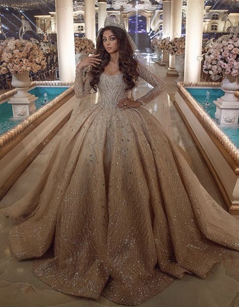 15 Birthday Dresses, Champagne Ball Gown, Luxury Champagne, Long Sleeve Bridal Gown, Wedding Dresses 2020, Bridal Ball Gown, Day Planner, Lace Bridal Gown, Dresses 2020