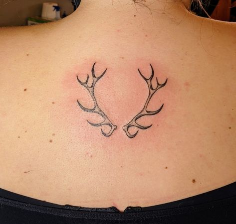 Tattoos, Elk, Antlers Elk Horns Tattoo, Elk Horn Tattoo Women, Simple Elk Tattoo, Elk Antlers Tattoo, Caribou Antler Tattoo, Small Elk Tattoo, Elk Antler Tattoo For Women, Antler Back Tattoo, Antler Knee Tattoo