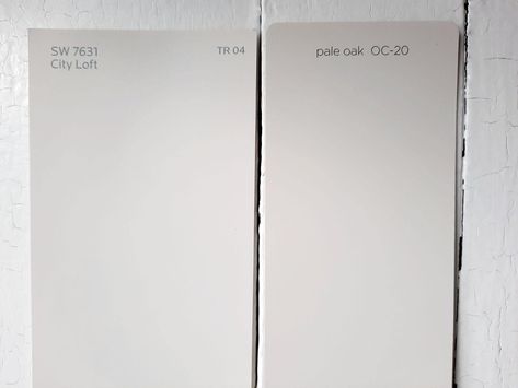 Sherwin Williams City Loft Paint Color Review Sherwin Williams City Loft Paint, City Loft Paint Color, City Loft Paint, Sherwin Williams City Loft, City Loft Sherwin Williams, Entryway Transformation, Repose Gray Sherwin Williams, Agreeable Gray Sherwin Williams, Edgecomb Gray