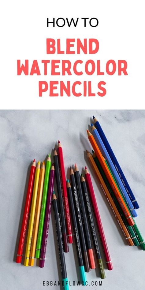 Watercolor Pencils Techniques Tutorials, Watercolor Pencil Art Ideas, Draw With Watercolor, Coloured Pencil Techniques, Blend Watercolor, Best Watercolor Pencils, Water Colouring, Watercolor Pencils Techniques, Art Careers