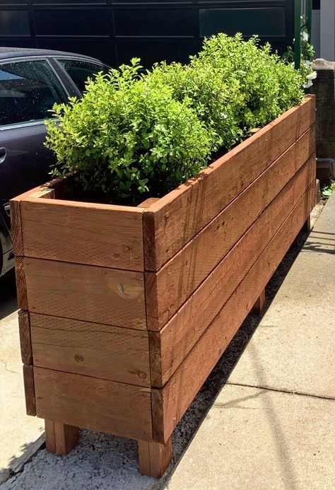 I delivered a 96 inch long by 20 inch deep by 36 inch tall planter box yesterday. It was heavy. Actually I assembled it on site so it wasn't that heavy. But it's still heavy. I'm going to stop now. Enjoy! Long Planter Boxes, Tall Planter Boxes, Long Planter, Tanaman Pot, Wooden Planter, Pebble Mosaic, Wood Planters, Planter Box, Garden Boxes