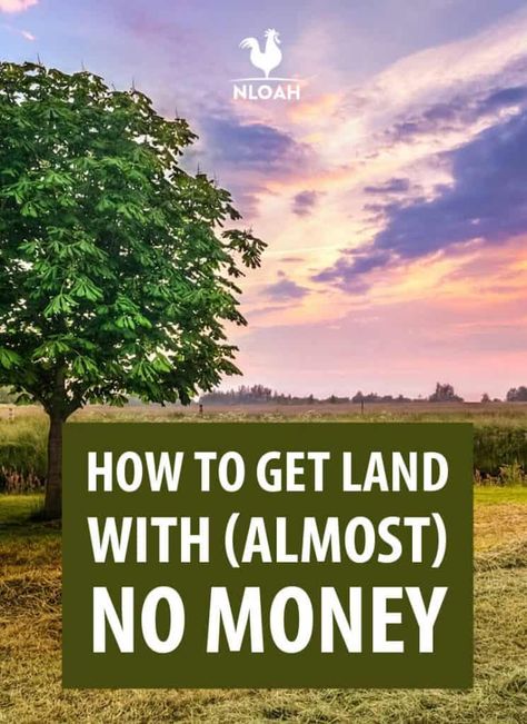 Start Homesteading, Homestead Hacks, Conversation Ideas, Homestead Land, Winter Preparedness, Navy Federal Credit Union, Free Land, Buying Land, Investing In Land