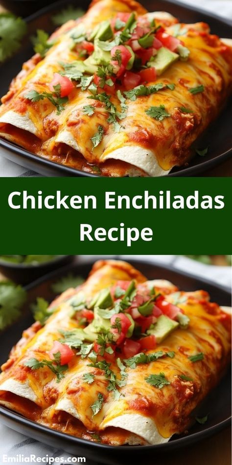 Searching for chicken enchilada recipes? Our Chicken Enchiladas Recipe is a must-try. This easy and delicious option is perfect for dinner ideas, making it a hit for family meals and parties alike. Homemade Chicken Enchiladas, Homemade Red Enchilada Sauce, Healthy Chicken Enchiladas, Easy Chicken Enchiladas, Easy Chicken Enchilada Recipe, Chicken Enchiladas Recipe, Chicken Enchiladas Easy, Enchiladas Recipe, Chicken Enchilada Recipe