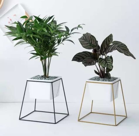 Planter Plants, Kaktus Dan Sukulen, Modern Planter, Planter Ceramic, White Rectangle, Metal Plant Stand, Wood Plant Stand, Diy Plant Stand, Metal Furniture Design