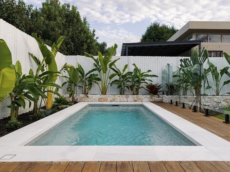 Swimming Pool Small Garden, Decked Pool Areas, Swimming Pool With Fence, Pool Along Fence Line, Coastal Backyard Pool, Pool Against Fence, Acrylic Pool Fence, Pool Area Garden, Garden By Fence