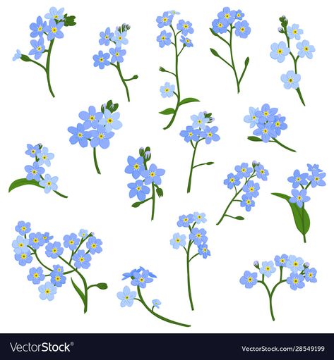 Blue Star Flower Drawing, Scorpion Grasses Tattoo, Pottery Painting Forget Me Not, Forget Me Not Botanical Illustration, Forget Me Not Doodle, Forget Me Nots Drawing, Forget Me Not Drawing Simple, Forget Me Not Flowers Drawing Simple, Forget Me Not Nails