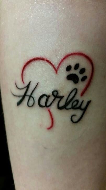 Tattoo                                                                                                                                                                                 More Dog Name Tattoo Ideas, Dog Name Tattoo, Grandpa Tattoo, Tatoo Dog, Pet Memorial Tattoo, Name Tattoo Ideas, Pawprint Tattoo, Dog Memorial Tattoos, Dog Paw Tattoo