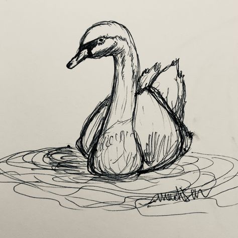 Swan In A Lake Drawing, Swan Ink Drawing, Easy Swan Drawing, Cute Swan Drawing, Swan Drawing Aesthetic, How To Draw Swan, Swan Drawing Simple, Two Swans Drawing, Swan Painting Easy