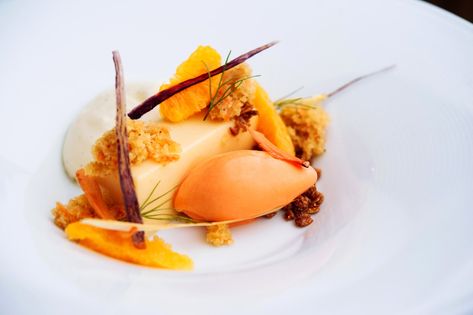 Gourmet Desserts Presentation, Carrot Desserts, Cake Carrot, Fancy Desserts Recipes, Food Plating Techniques, Fine Dining Desserts, Dessert Presentation, Gourmet Desserts, Molecular Gastronomy