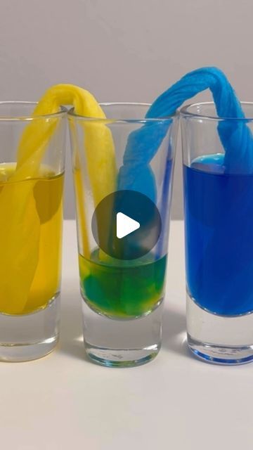 Ziploc Bag Science Experiment, Imagination Week Preschool, Paper Towel Color Experiment, Capillary Action Experiment, Marble Activities For Preschool, Moving Activities For Preschoolers, Biology Experiments For Kids, Steam Experiments For Kids, Food Experiments For Kids