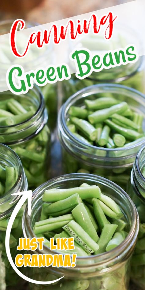 Pickled Green Bean Recipes, Pressure Canning Green Beans, Canned Green Bean Recipes, Canning Green Beans, Pickled Green Beans, Dilly Beans, Pressure Canning Recipes, Home Canning Recipes, Canning Vegetables