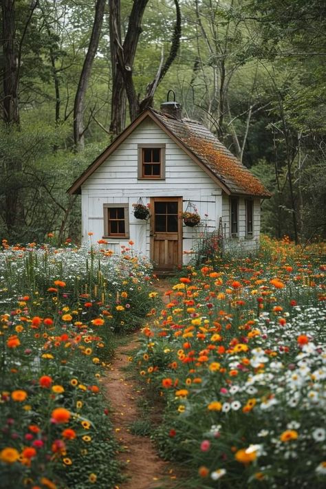 White Cottage In The Woods, Cottage In Meadow, Cottage Reference Photo, Cottage In Field, Cozy House Exterior Small Cottages, Cottage Core Home Exterior, Small House In Woods, Small Cozy House Exterior, House Landscape Photography