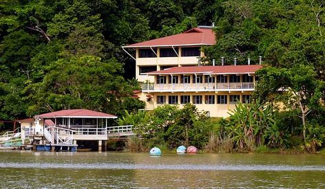 Smithsonian Tropical Research Institute The Smithsonian Tropical Research Institute (STRI, Spanish: Instituto Smithsoniano de Investigaciones Tropicales) is the only bureau of the Smithsonian Institution based... #Attraction #Landmark  #Backpackers #Hostelman #Travel #Landmark Panama Canal, Smithsonian Institution, Research Institute, Holiday Destinations, Bing Images, Panama, Tourism, Colorado, Around The Worlds