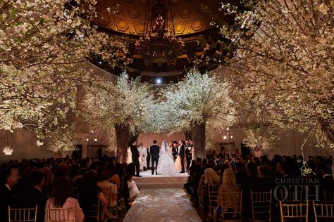 17 Unusual Wedding Venues Ideas - Poptop Event Planning Guide Event Planning Guide, Open Air Wedding, Unusual Wedding Venues, Wedding Picture Ideas, Nyc Wedding Venues, Library Wedding, Unusual Weddings, Boda Mexicana, Ethereal Wedding