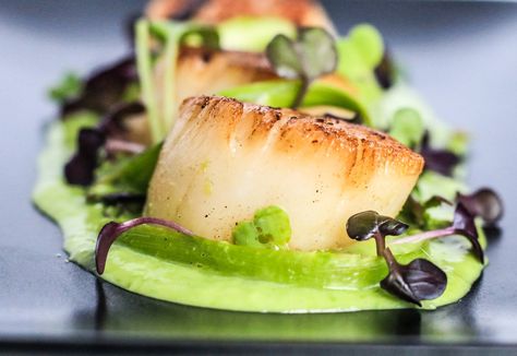 Scallop Appetizer, Sauteed Scallops, Pea Puree, Small Bites Appetizers, Seared Scallops, Scallop Recipes, Scallops Seared, Molecular Gastronomy, Pureed Food Recipes