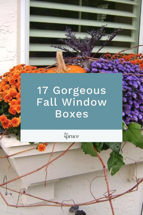 The multicolored mums and slightly hidden pumpkin make this fall window box a beautiful sight. Fall Window Box Planter Ideas, Fall Windows Boxes, Outdoor Fall Window Boxes, Fall Planter Boxes Front Porches, Fall Flower Box Decor, Winter Window Flower Box Ideas, Call Window Boxes, Window Boxes Fall Autumn, Fall Planter Box Ideas Front Porches