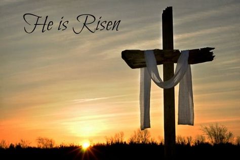 He is Risen easter religion easter quotes jesus quotes jesus resurrection quotes Easter Quotes Religious, Friday Inspirational Quotes, Resurrection Sunday, Easter Quotes, Easter Cross, Holy Week, Papa Francisco, He Is Risen, Jesus Pictures