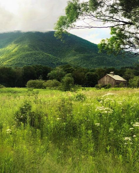 Green Outdoors Aesthetic, Green Mountain Aesthetic, Vermont Countryside, Vermont Aesthetic, Primrose School, Green Mountains Vermont, Vermont Landscape, Farm Vacation, Vermont Mountains