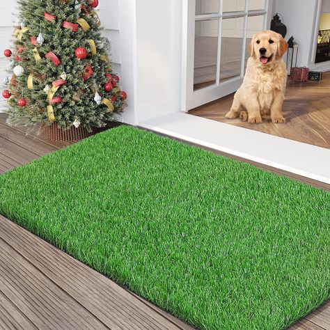 Best artificial grass