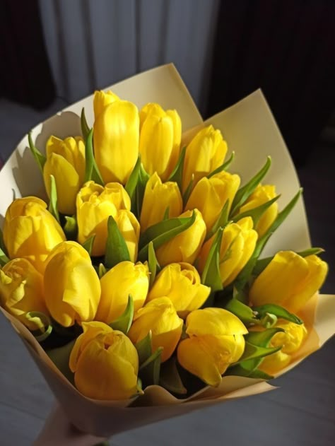 Yellow Flowers Bouquet, Still Hoping, Yellow Bouquets, Yellow Blossom, Boquette Flowers, Tulip Bouquet, Nothing But Flowers, Yellow Tulips, Flower Therapy