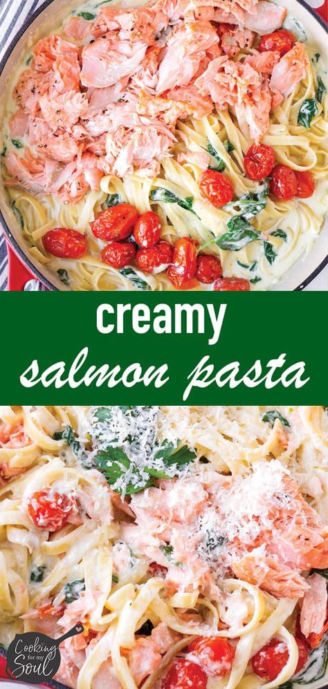 Make this Creamy Salmon Pasta tonight! The salmon is oven-roasted, and tossed with fettuccine tossed in a creamy parmesan sauce, roasted tomatoes, and spinach. It is so easy to make and comes out so delicious. It's the ultimate comfort food for dinner #cookingformysoul Pasta Fish, Garlic White Wine Sauce, Creamy Salmon Pasta, Salmon Pasta Recipes, Food For Dinner, Creamy Salmon, Cream Cheese Pasta, Salmon Cream Cheese, Salmon Spinach