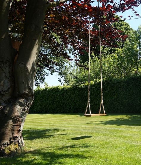 Swings For Adults, Garden Swings, Brick Patterns Patio, Personalised Wooden Gifts, Picture Tree, Swing Dancing, Tree Swing, Luxury Garden, Garden Swing