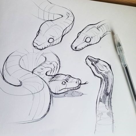 Snake doodles 🐍 my schedule this week is sooo busy, I'll be at the convention Anime Los Angeles friday-sunday! Hope to see some of you… Snakes Reference, Snake Doodle, Devin Elle Kurtz, Snake Painting, Snake Illustration, Snake Drawing, Anime Karakterek, Snake Art, Desen Anime