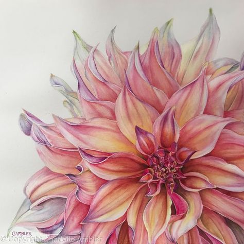 Labyrinth Dahlia, Foto Transfer, Watercolour Flowers, 수채화 그림, Uk Artist, Botanical Watercolor, Dahlia Flower, Wow Art, Floral Artwork