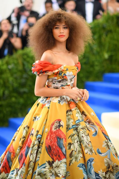 Zendaya slays at 2017 Met Gala Zendaya Met Gala, Mode Zendaya, Estilo Zendaya, Mode Pop, Met Gala Dresses, Bianca Jagger, Gala Outfit, Zendaya Style, Florence Welch