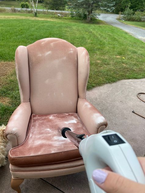 How to Clean Upholstered Chairs with Baking Soda - Nikki's Plate Cleaning Upholstered Chairs, How To Clean Upholstered Chairs, Apolstered Chairs, How To Clean Upholstery, How To Clean Velvet, Cleaning Upholstered Furniture, Fabric Kitchen Chairs, Clean Upholstery, Fabric Dining Room Chairs