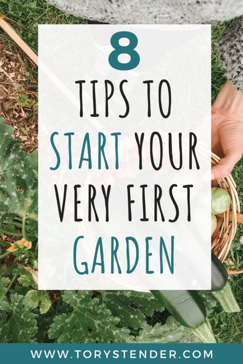 How To Start Raised Garden Beds, How To Start A Small Garden Patio, When To Start A Raised Garden, My First Garden Backyards, How To Set Up Garden, Beginners Garden Layout, How Many Vegetables To Plant Per Person, Raised Garden Beds Beginner, First Garden Ideas