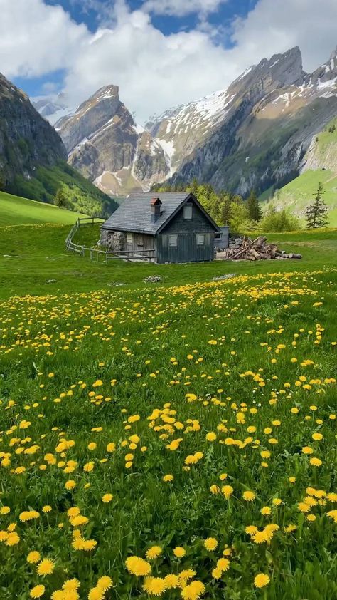 onlynatureview on Instagram: This is why i Love switzerland 🇨🇭 Have a wonderful day everyone 👌 Follow @onlynatureview DM for credit/removal . . 📍 Alpstein Area . .… Beautiful Locations Nature, Have A Wonderful Day, Beautiful Places Nature, Beautiful Photos Of Nature, Beautiful Scenery Nature, Alam Yang Indah, Travel Tours, Beautiful Nature Pictures, Wonderful Day