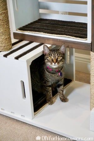 How to Build a Modern Cat Condo With Wood Crates : 4 Steps (with Pictures) - Instructables Diy Cat Tree With Crates, Diy Cat Tower Easy Cheap, Cat Towers Diy Homemade, Cat Tower Ideas, Homemade Cat Tower, Mini Miu, Cat Trees Homemade, Diy Cat Tower, Metal Lawn Chairs