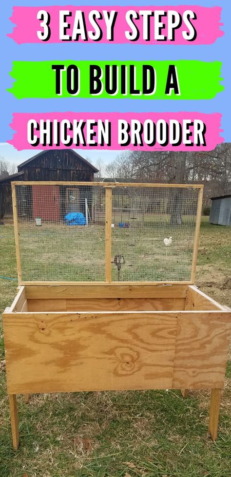 If you hatch and raise baby chicks, you know that they need a safe, dry, and warm place to grow before they are ready for the coop. This easy, 3 step DIY plan will show you how to build a safe brooder for them that can go indoors or outdoors. Check out this post for ideas to keep your DIY baby chicks safe today! #raisingchickens #homesteadanimals #homesteadingtips #backyardchickens #chickenbrooder Baby Chick Brooder, Diy Chicken Brooder, Chicken Brooder Box, Chick Brooder, Brooder Box, Urban Chicken Farming, Chicken Brooder, Raising Turkeys, Diy Chicken Coop Plans