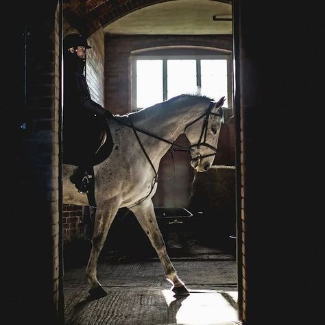 Horse Photography Art, Equestrian Photoshoot, Aesthetic Amigurumi, Funny Flowers, Tattoo Tutorial, George Stubbs, Thoroughbred Racehorse, Equestrian Aesthetic, Pinterest Art