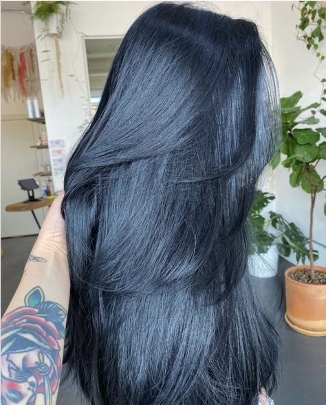 Blue Black Hair Inspiration, Dark Blue Hair Almost Black, Jet Black Blue Hair Color, Midnight Blue Hair On Black Hair, Blue Black Hair Layers, Black Hair That Looks Blue, Black Velvet Hair Color, Jet Black With Blue Tint, Dark Grey Black Hair